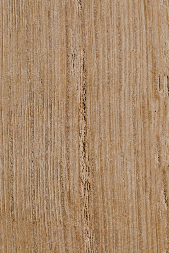 Extreme Close-up of Wood Texture