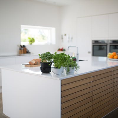 Spacious, light-filled kitchen with modern design and fresh herbs on the counter.